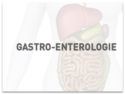 alternative text here